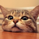 สมาชิกหมายเลข 2731544