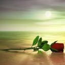 สมาชิกหมายเลข 3738226