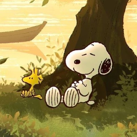 SnoopyCube