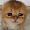 สมาชิกหมายเลข 3253220