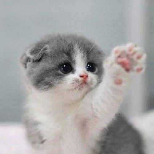 สมาชิกหมายเลข 5357143