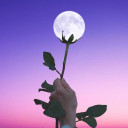 สมาชิกหมายเลข 5357252