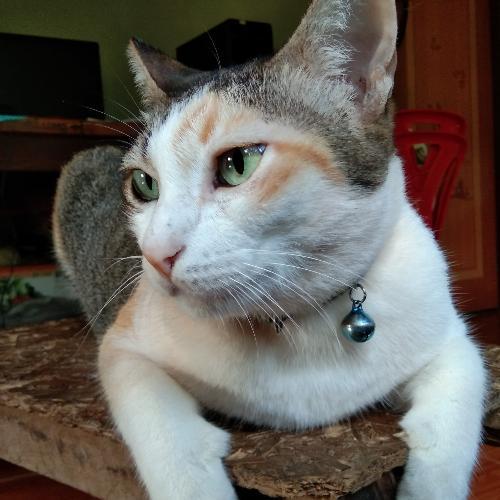 สมาชิกหมายเลข 5838024