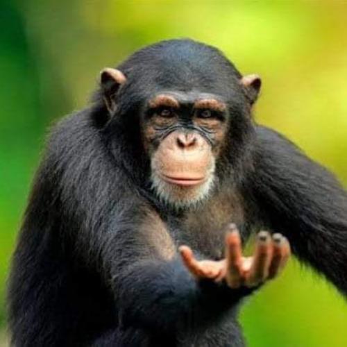 สมาชิกหมายเลข 1740239