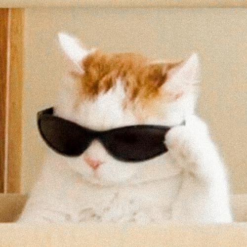 สมาชิกหมายเลข 3039877