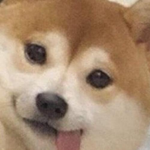 สมาชิกหมายเลข 4160924