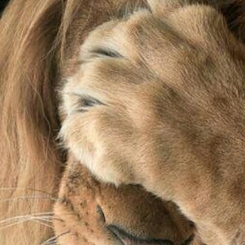 สมาชิกหมายเลข 6366643