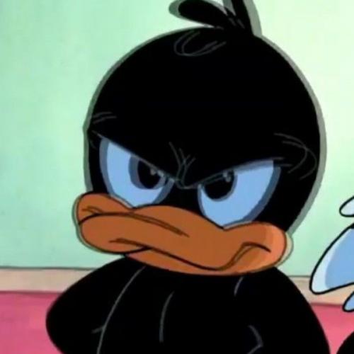 พ่อเป็ดผู้รูปหล่อ