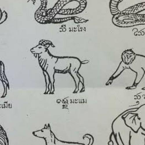 สมาชิกหมายเลข 7927635