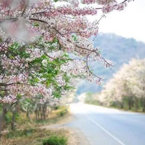 สมาชิกหมายเลข 8347059