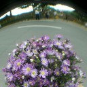 สมาชิกหมายเลข 1539708