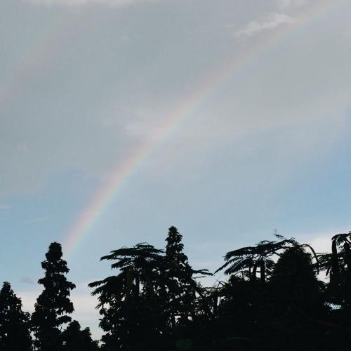 สมาชิกหมายเลข 2811821