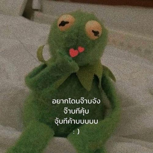 สมาชิกหมายเลข 5653391