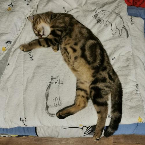 สมาชิกหมายเลข 6442049