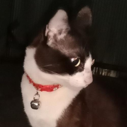 สมาชิกหมายเลข 3711469