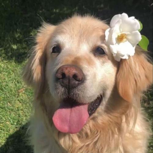 สมาชิกหมายเลข 4293246