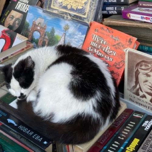 สมาชิกหมายเลข 7880838