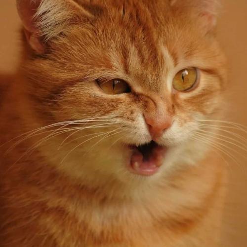 สมาชิกหมายเลข 7929322