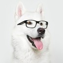 สมาชิกหมายเลข 1433062