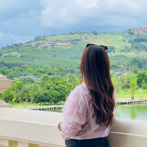 ภูเขาและทิวหมอก