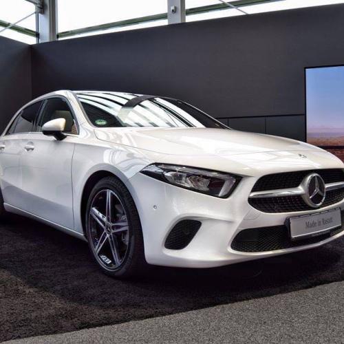 สมาชิกหมายเลข 4041615