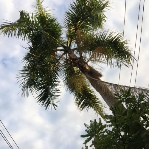 สมาชิกหมายเลข 4575496