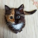 สมาชิกหมายเลข 1937200