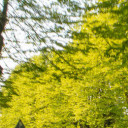 สมาชิกหมายเลข 3875665