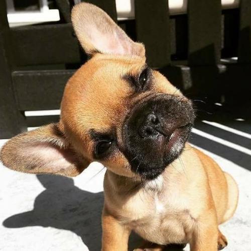 สมาชิกหมายเลข 4960395