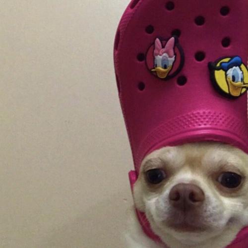 สมาชิกหมายเลข 5839437