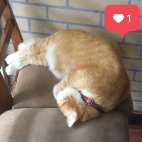 สมาชิกหมายเลข 5839827