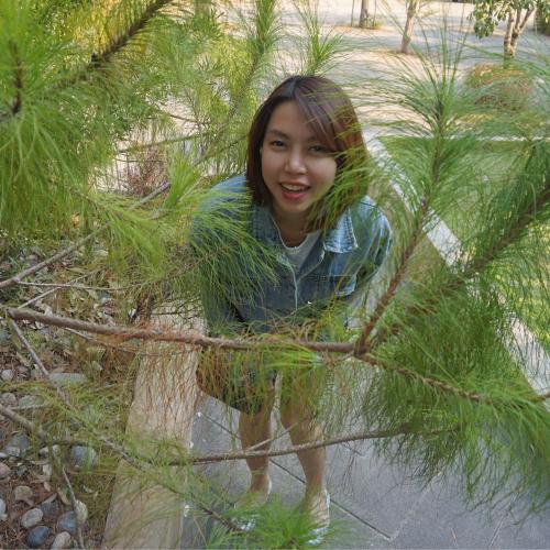 สมาชิกหมายเลข 6111171