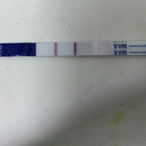 สมาชิกหมายเลข 6409019