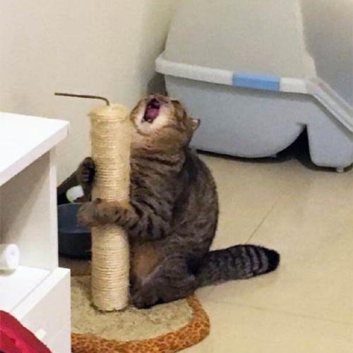 สมาชิกหมายเลข 6440687