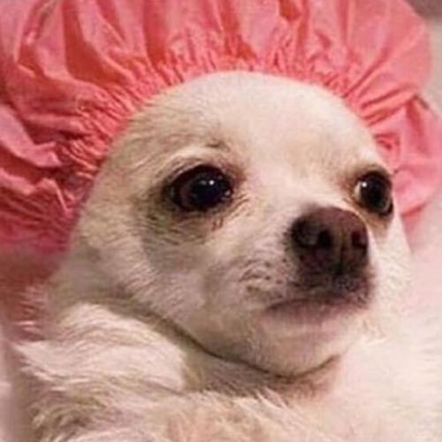 สมาชิกหมายเลข 6442531