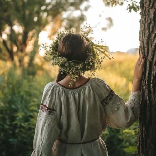 สมาชิกหมายเลข 2055091