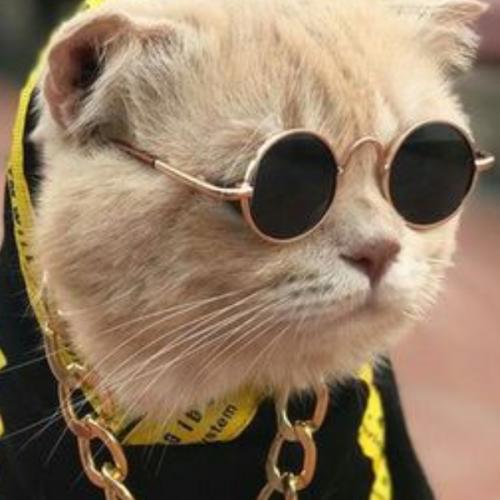 สมาชิกหมายเลข 7023781