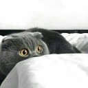 สมาชิกหมายเลข 2050636