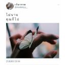 สมาชิกหมายเลข 3987713