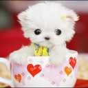 สมาชิกหมายเลข 4213737