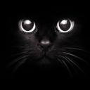 สมาชิกหมายเลข 4213909