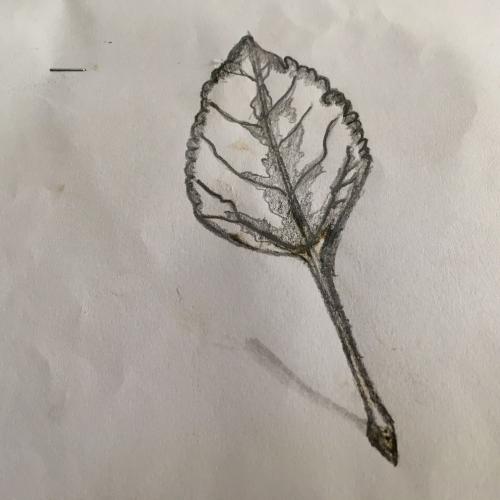 สมาชิกหมายเลข 1442435