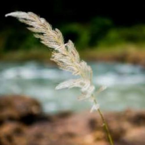 สมาชิกหมายเลข 3312019