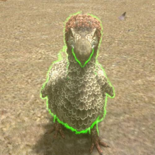 สมาชิกหมายเลข 3515355