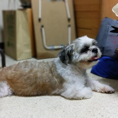 สมาชิกหมายเลข 4609048