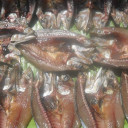 สมาชิกหมายเลข 2487719