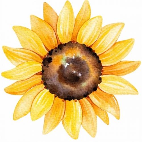 สมาชิกหมายเลข 3219024