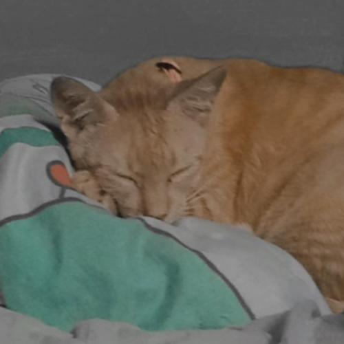 สมาชิกหมายเลข 5840026