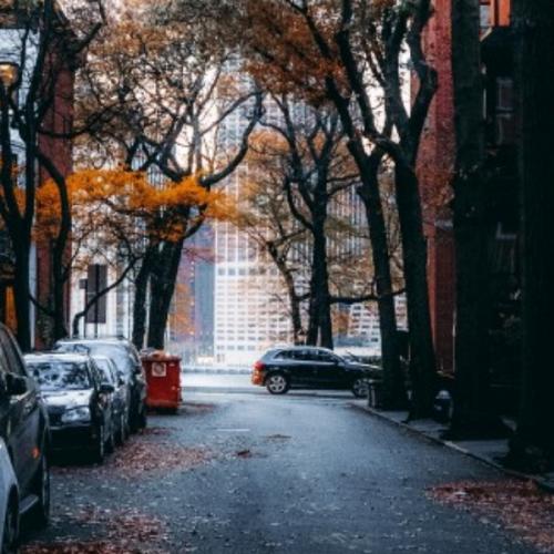 สมาชิกหมายเลข 5840268