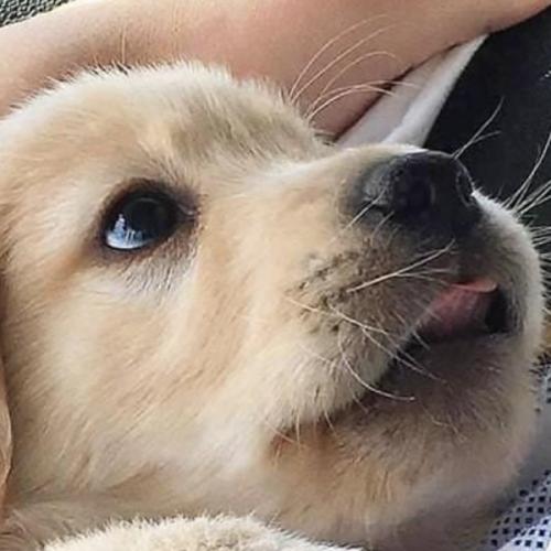 สมาชิกหมายเลข 5840381